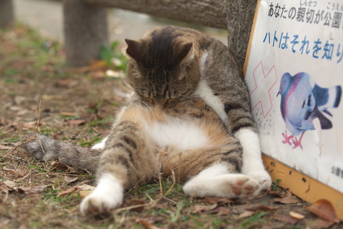 年貢の納めどきですわぁ