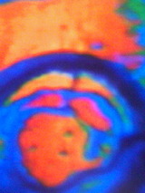 0885643b.jpg