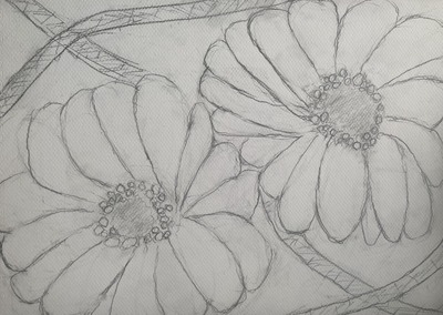 �ɥ�������