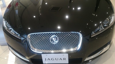 Jaguar