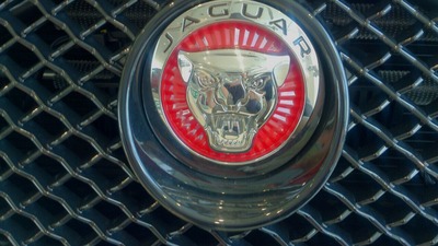 Jaguar