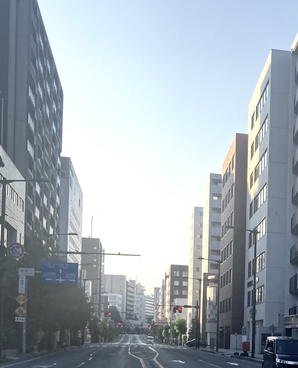 朝5 00から強い日差し 絵描きの日記