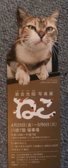 チケット