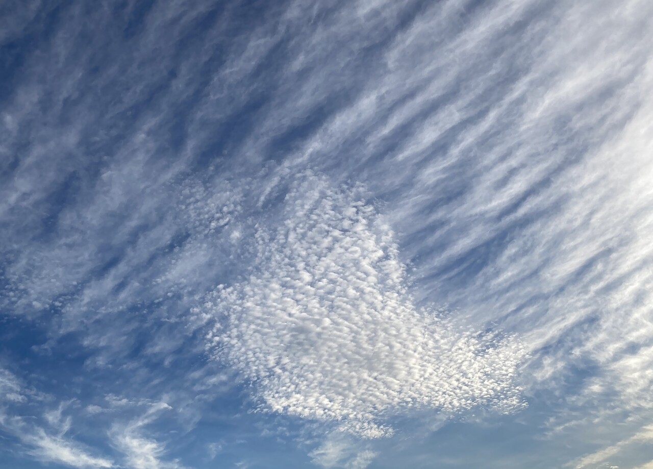 いわし雲 絵描きの日記 いわし雲 絵描きの日記