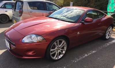 Jaguar XK