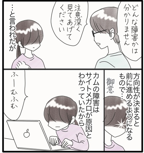カムの障害●8_20240923183001