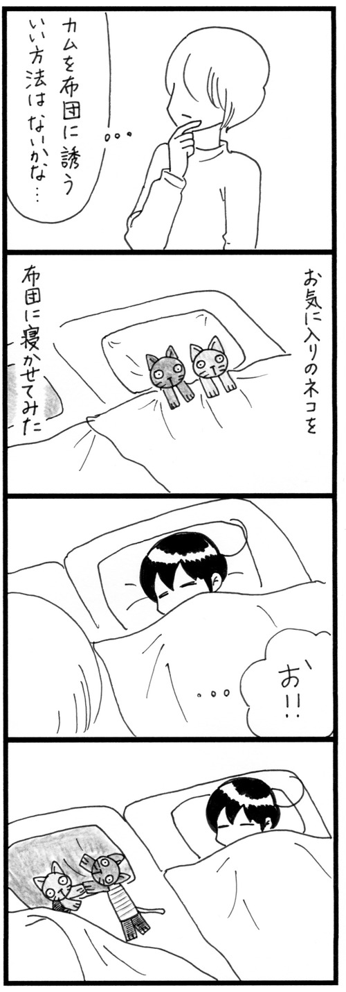 布団にネコ 2