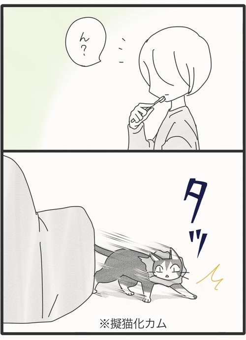 無言でアピール●1_20260430170843