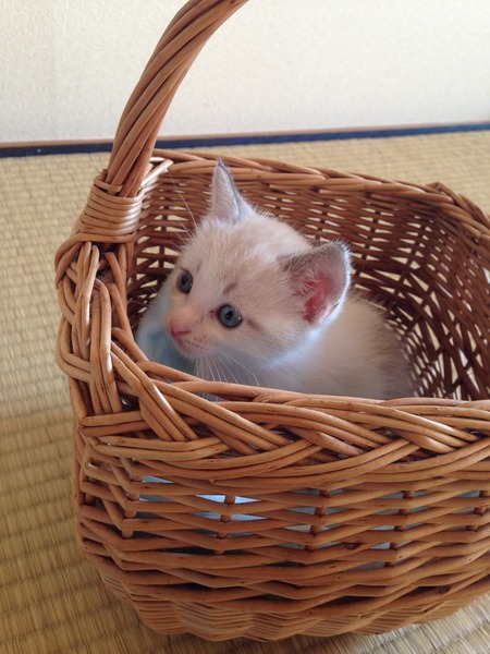 8CB0B8E6-4F3A-4977-A35D-60DF589B0752