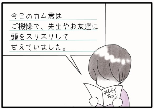 外のカム(ネコ)●_20240714190910