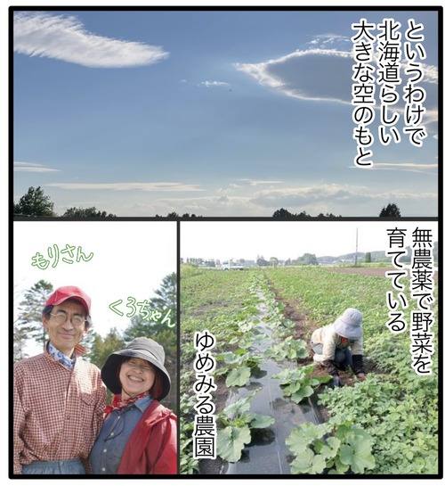 ゆめみる農園_20240819130111