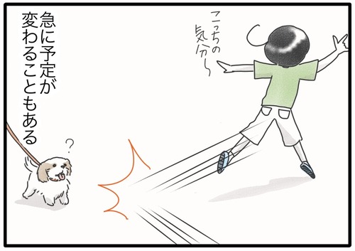 今日のお散歩ルート●_20240823145502