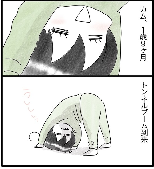カムのあゆみ11-1