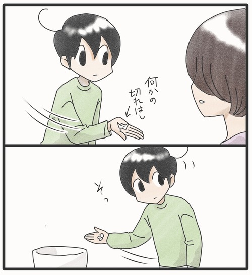ゴミを拾ったカム2_20241023190916