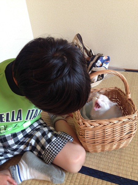 FFD89808-24D7-4892-B782-996D71B2E384