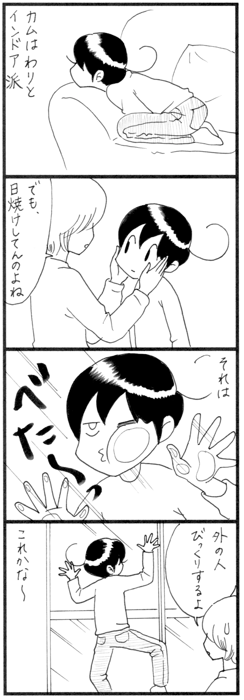 インドアカム_500
