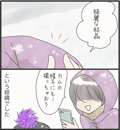 雪の結晶●3_20250226172056