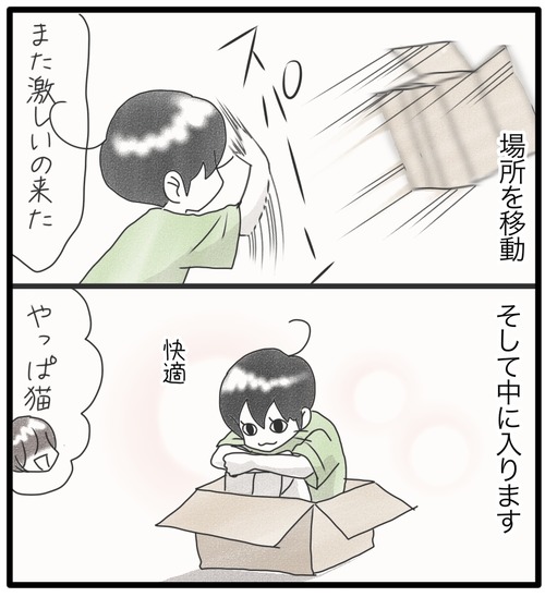 ダンボールとカム●2_20240909181352