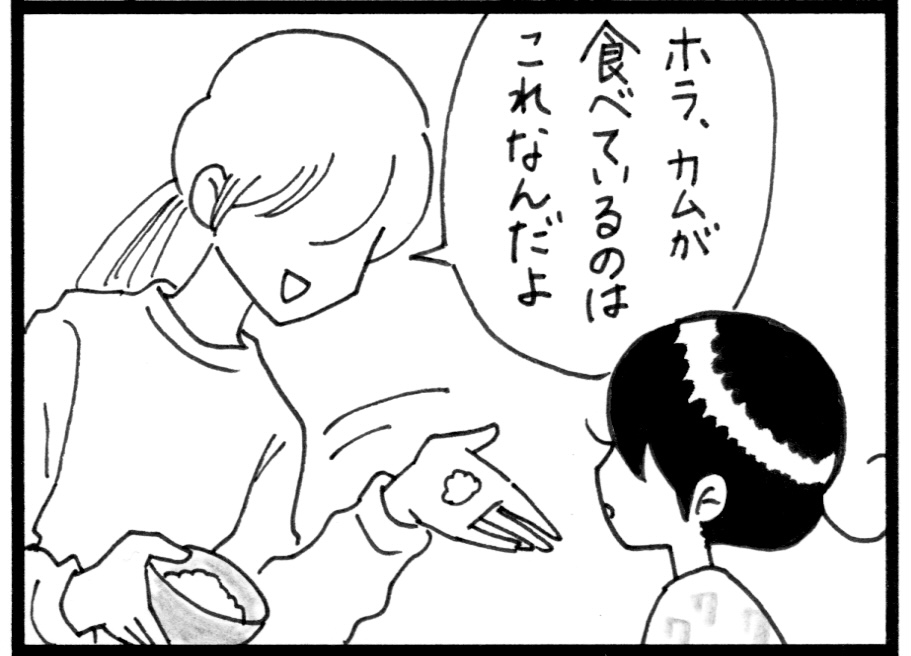 食べるの拒否 カムがご飯を好きになるまで ３ カムホーム Powered By ライブドアブログ