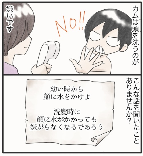 カムの洗髪1_20241017181055