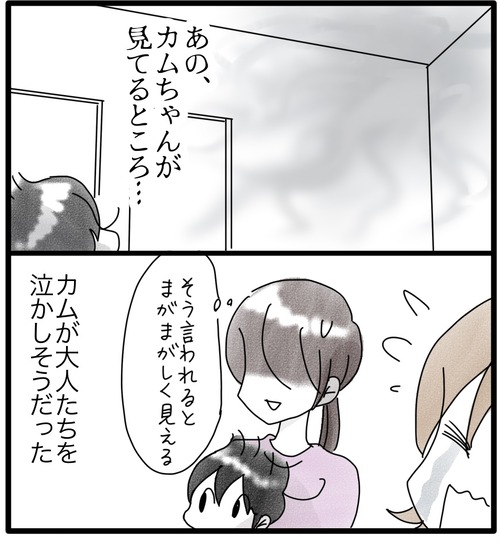 カムのあゆみ●7−1