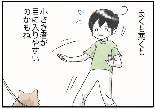 犬が怖くない？●3_20240913181419