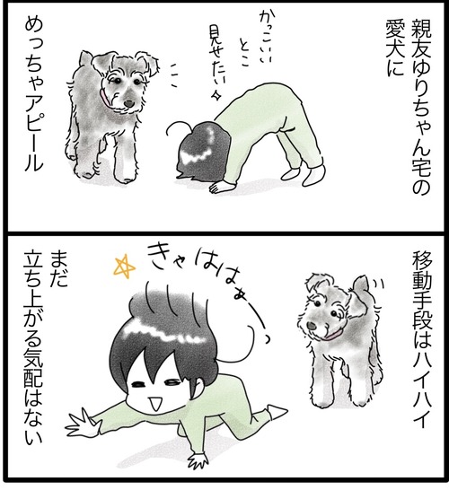 カムのあゆみ11-1