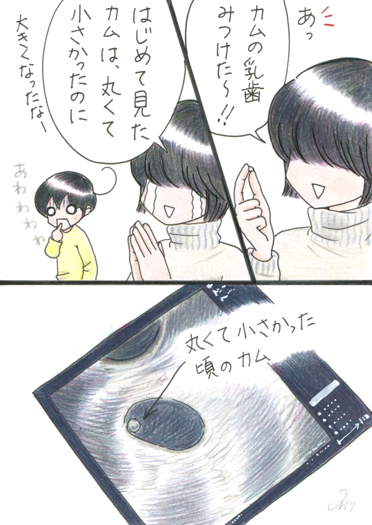 was_round_and_small