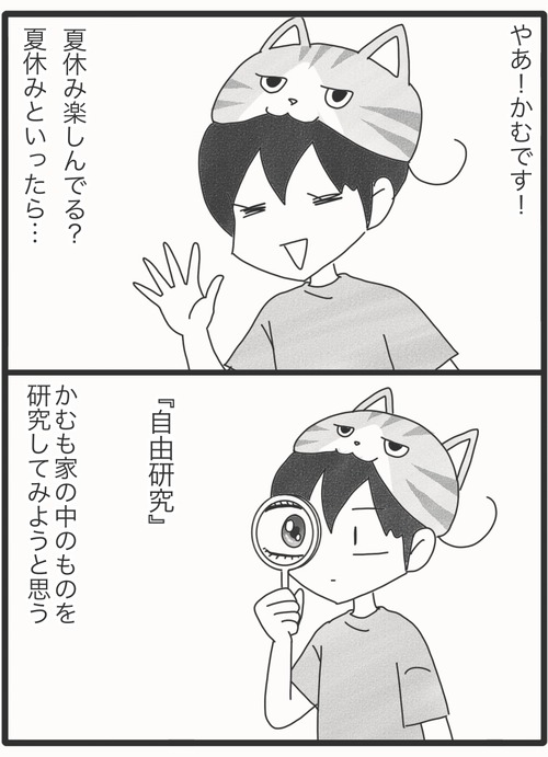夏のおすすめ3⭐︎●1_20260808234224