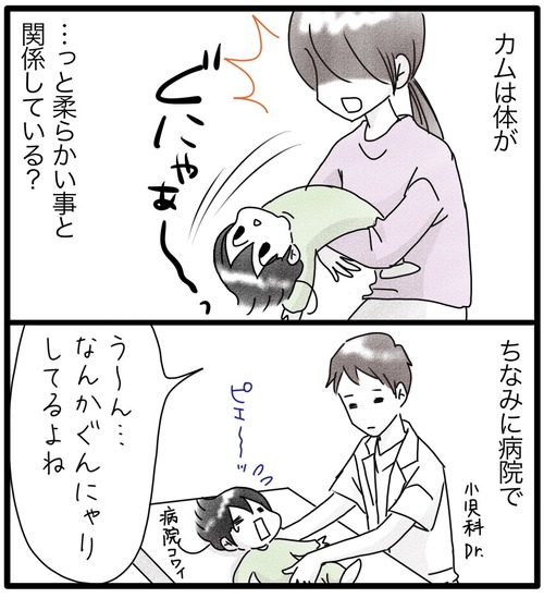 カムのあゆみ●9−1