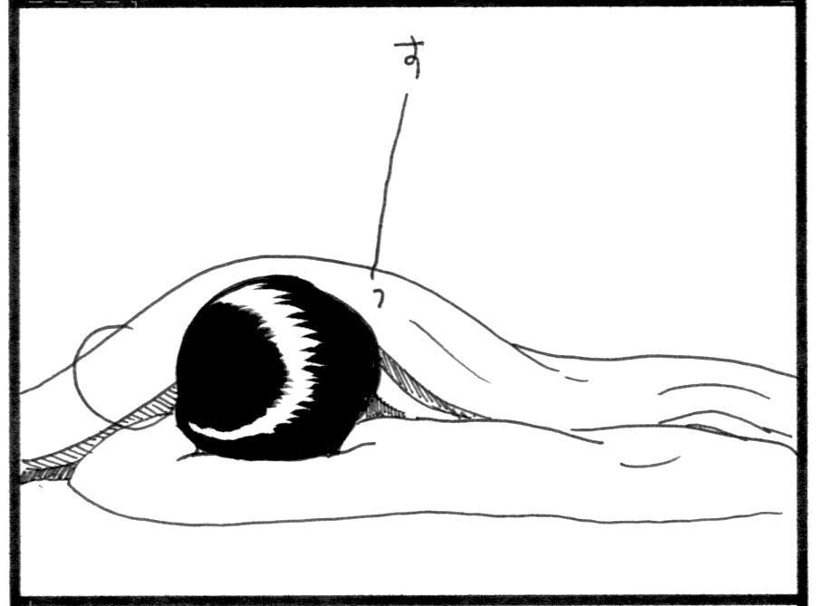 1日のスタート