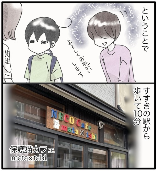 保護猫カフェ●1_20240627184254