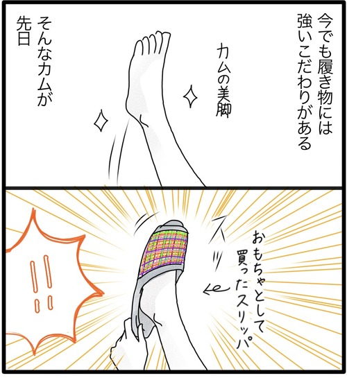 靴とスリッパ2_20231005183327