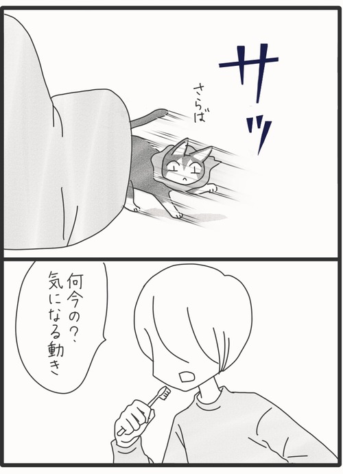無言でアピール●1_20260430170843