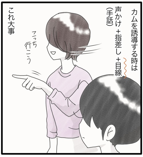 朝が早すぎる●3_20240821184128