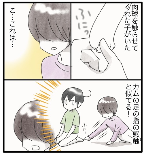 保護猫カフェ●3_20240627184659