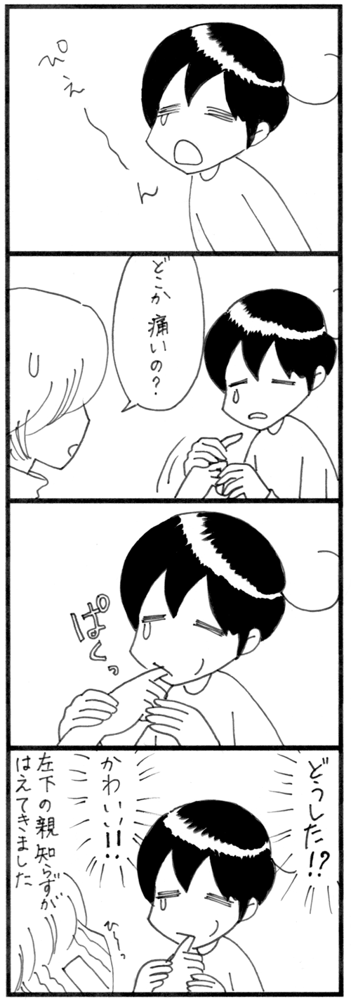 親知らず_500