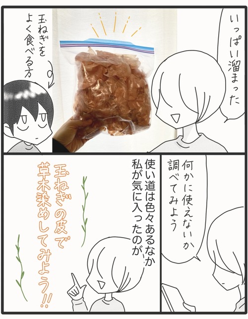 玉ねぎの皮で染める●1_20251215130909