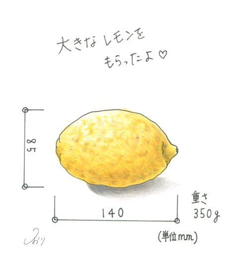 大きなレモン