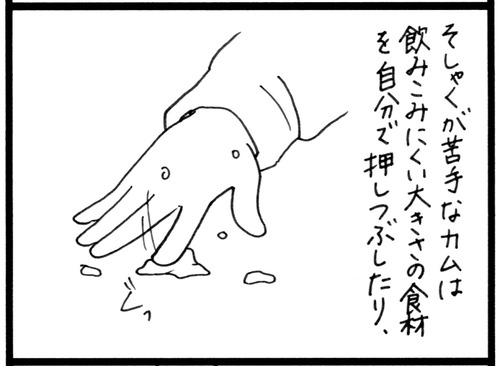 カムの離乳食4-2 2