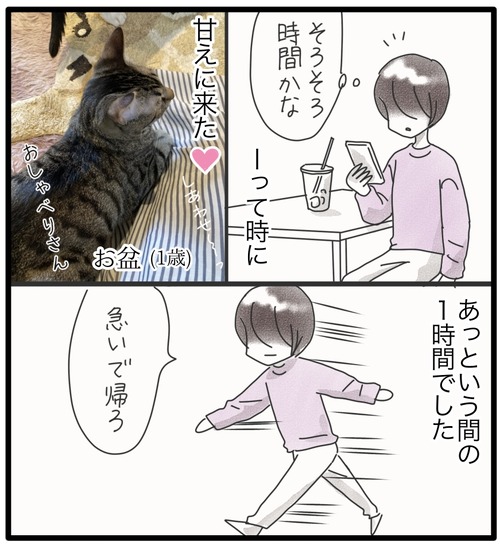 保護猫カフェ3_20240628103233