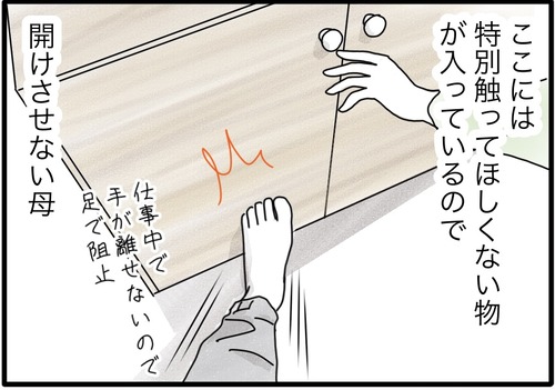 カムの作戦●