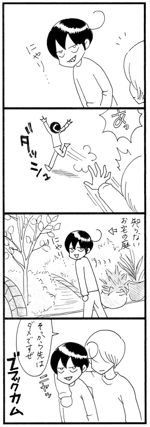 ブラックカム_500