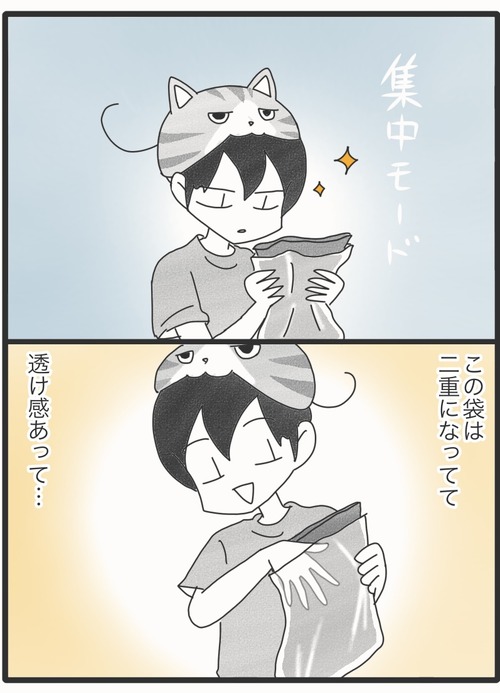 夏のおすすめ3⭐︎●2_20260808234502