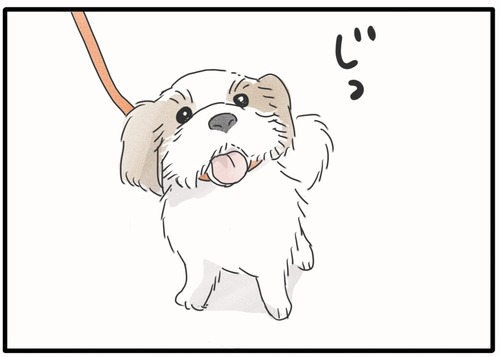 今日のお散歩ルート●_20240823145502