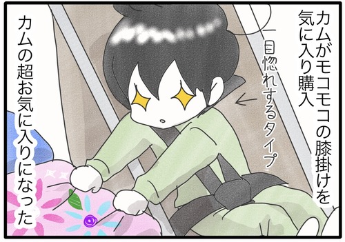膝掛け大好き_20240828175151