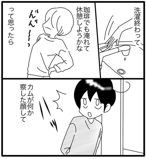 カム待ってる⚫︎1_20231119171357