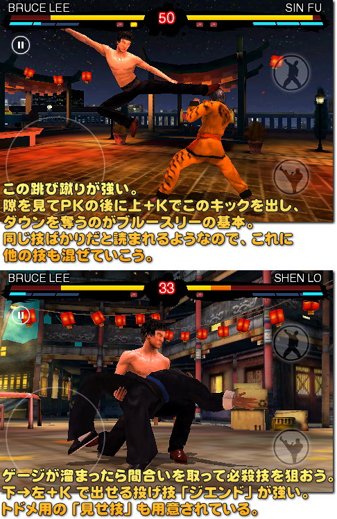 Bruce Lee Dragon Warrior