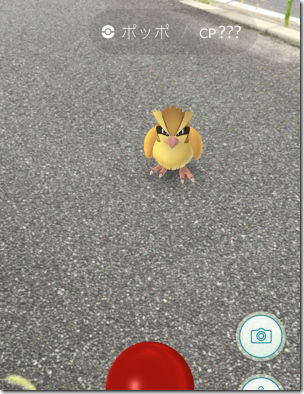 Pokemon GO ポケモンGO ポッポ