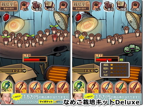 なめこ栽培キットDeluxe